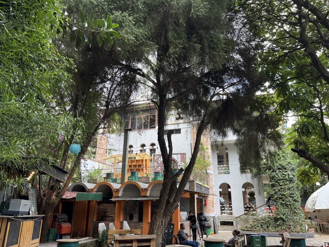 Atmosphere 251 Reviews