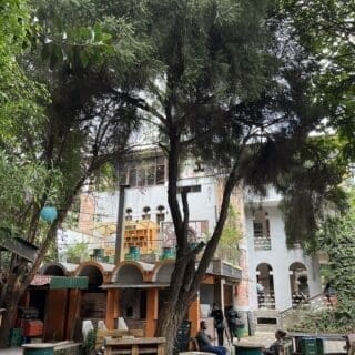 Haile Grand Addis Ababa Reviews