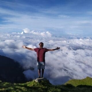 Web Story Day: Amazon Decor Must-Haves For Homes