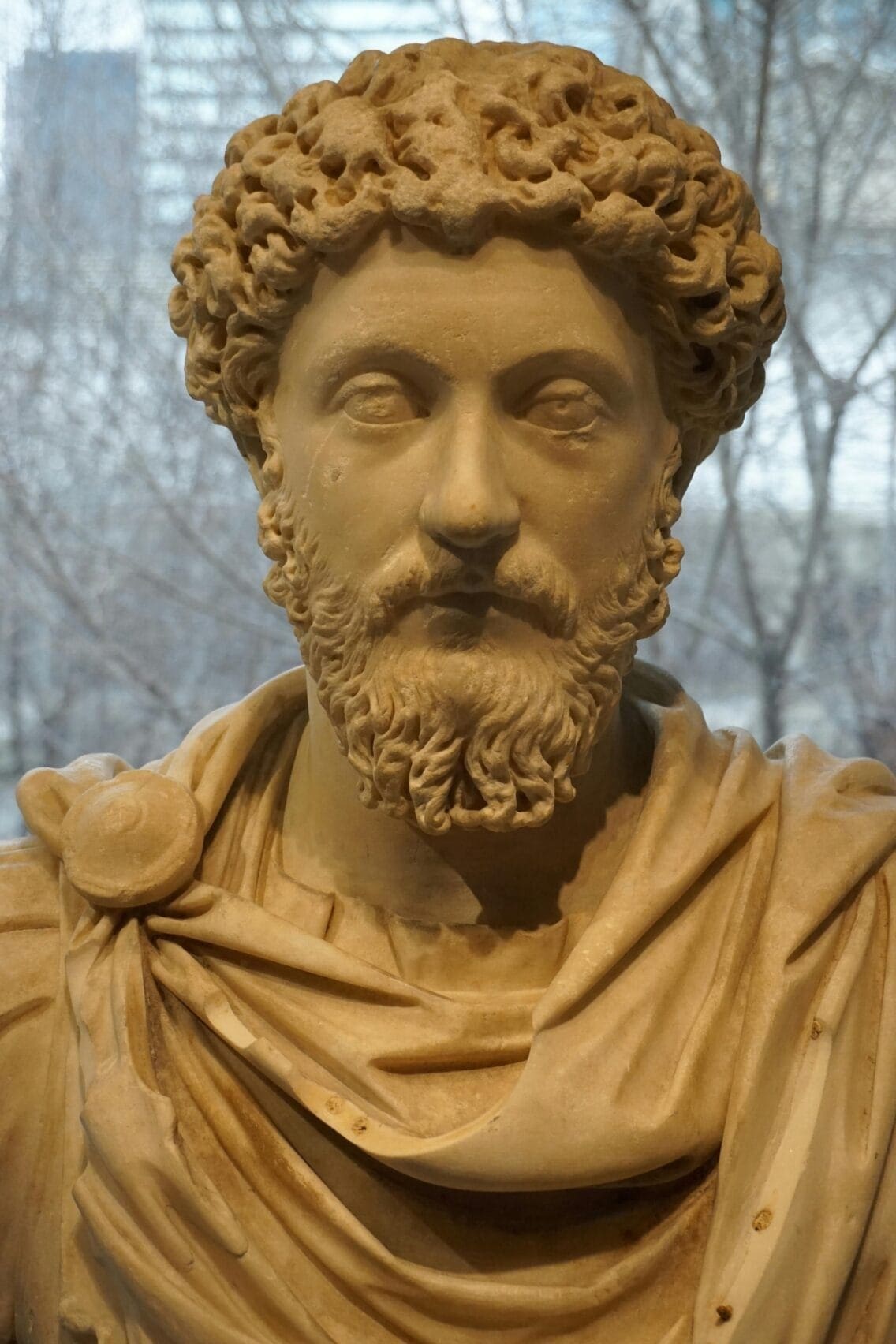 Wisdom from Stoicism: Greek Quotes You Should Live By