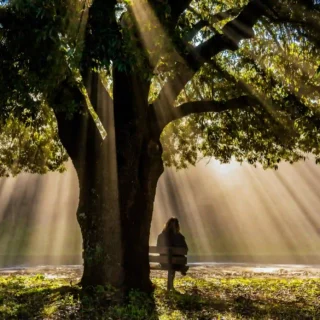 3 Social Media Platforms You’re Not Using—But Should Be