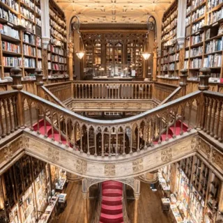 Cultural Rituals in India: How Traditions Shape Modern Life