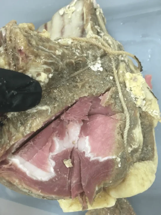 A slab of beef cured in salt, sliced open to show the preserved meat inside.Photo: Cambridge University
