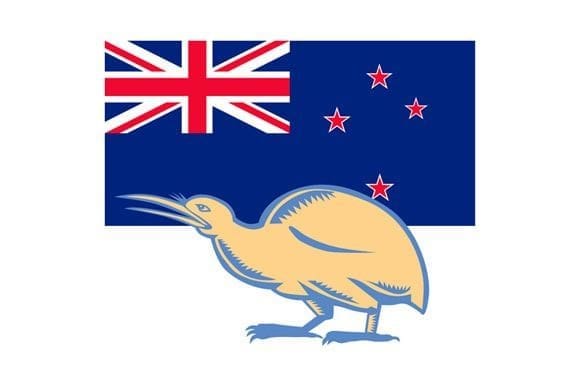 Kiwi bird standing beside the New Zealand flag, symbolizing national pride and identity of new zealand culture