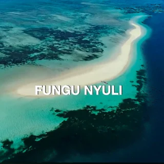 Polite Scripts to Say No with Confidence