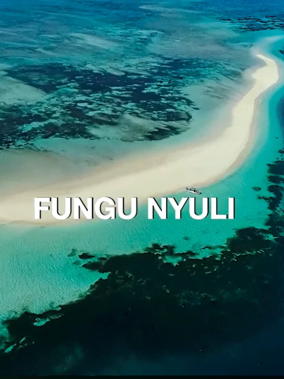Fungu Nyuli: The Disappearing Island Between Beauty & Grief