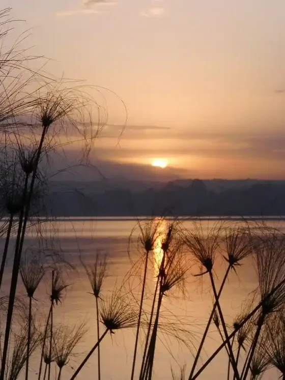 Lake Tana 2025: Monasteries, Boat Trips & Escapes