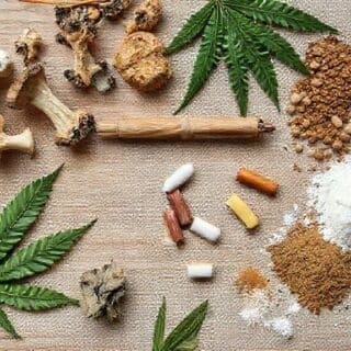 AI vs Human: Who Plans a Better Trip?